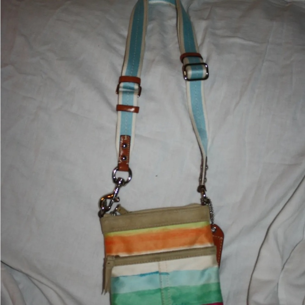 Coach Beach striped swing back.